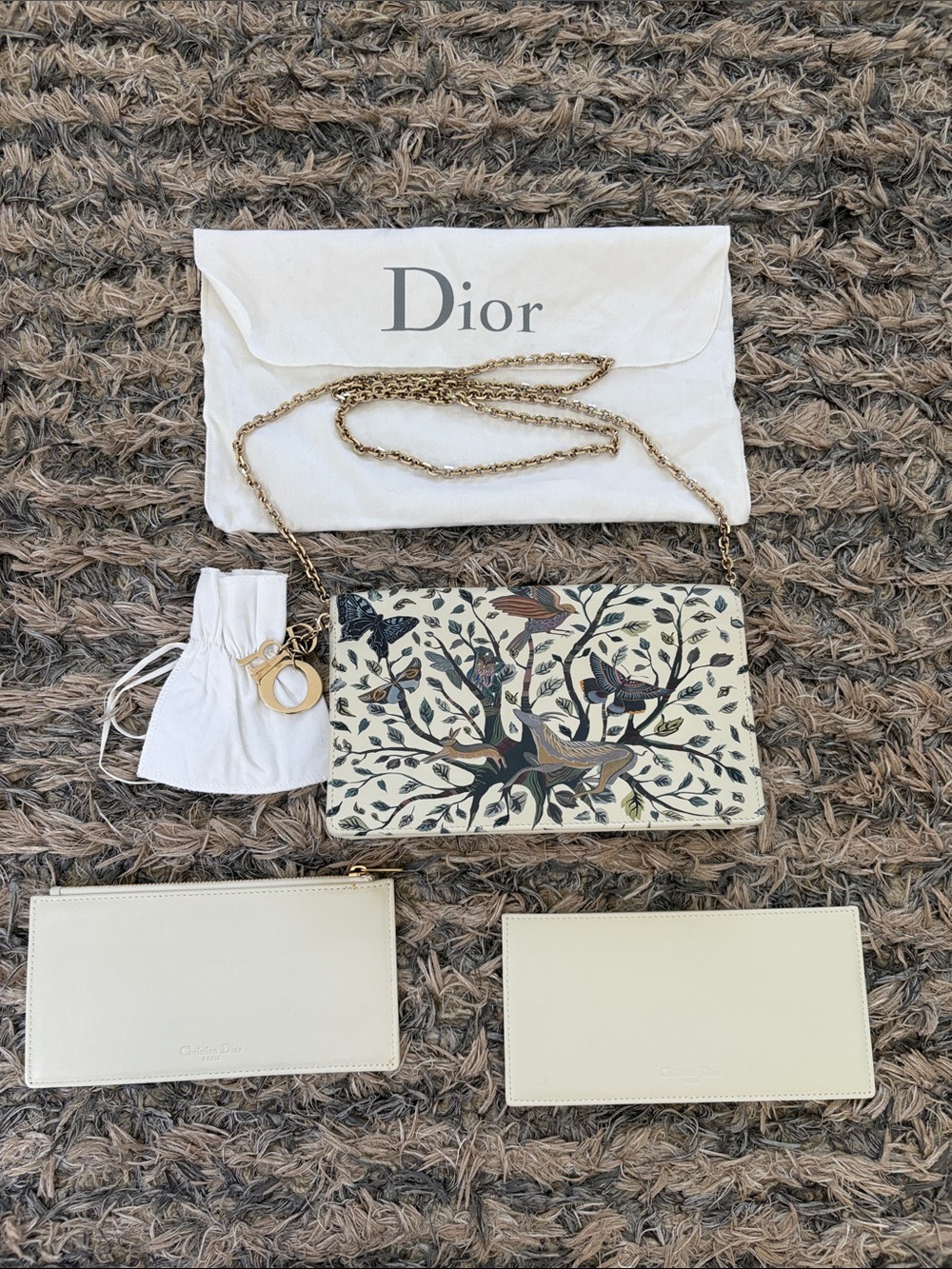 Christian Dior Constellation Print Lady Dior Pouch WOC On Chain Latte Gold